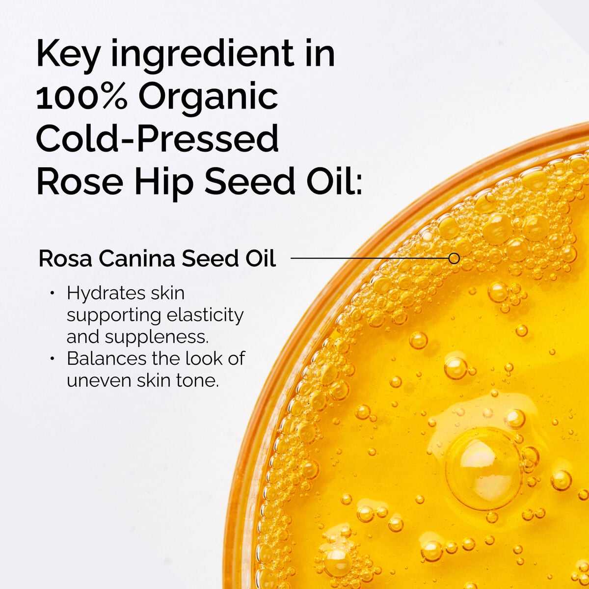100-organic-cold-pressed-rose-hip-seed-oil-r6 FY25-D41247-ORD-Web-PDP-100-Rose-Hip-Oil-1x1-EN-2.jpg