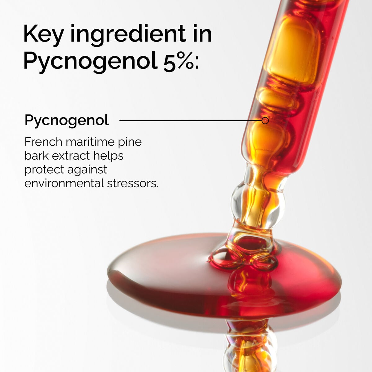 pycnogenol-5-v9 FY25-D41247-ORD-Web-PDP-Pyc-5pct-1x1-EN-2a.jpg