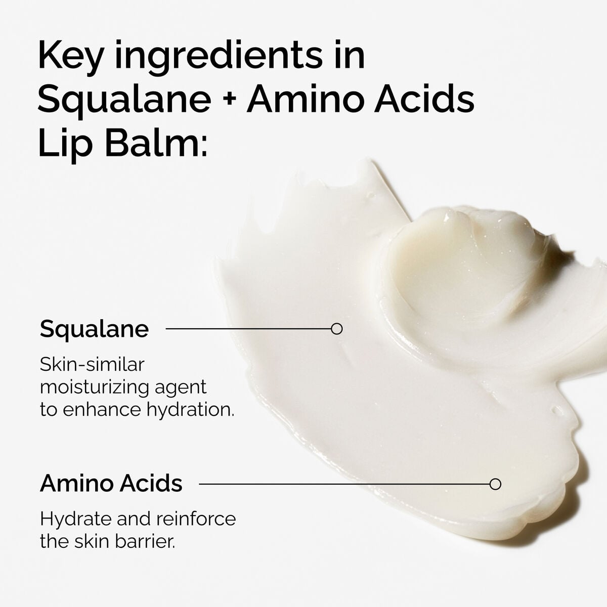 squalane-amino-acids-lip-balm-y0 FY25-D41247-ORD-Web-PDP-Sql-Amino-Lip-1x1-EN-2a.jpg