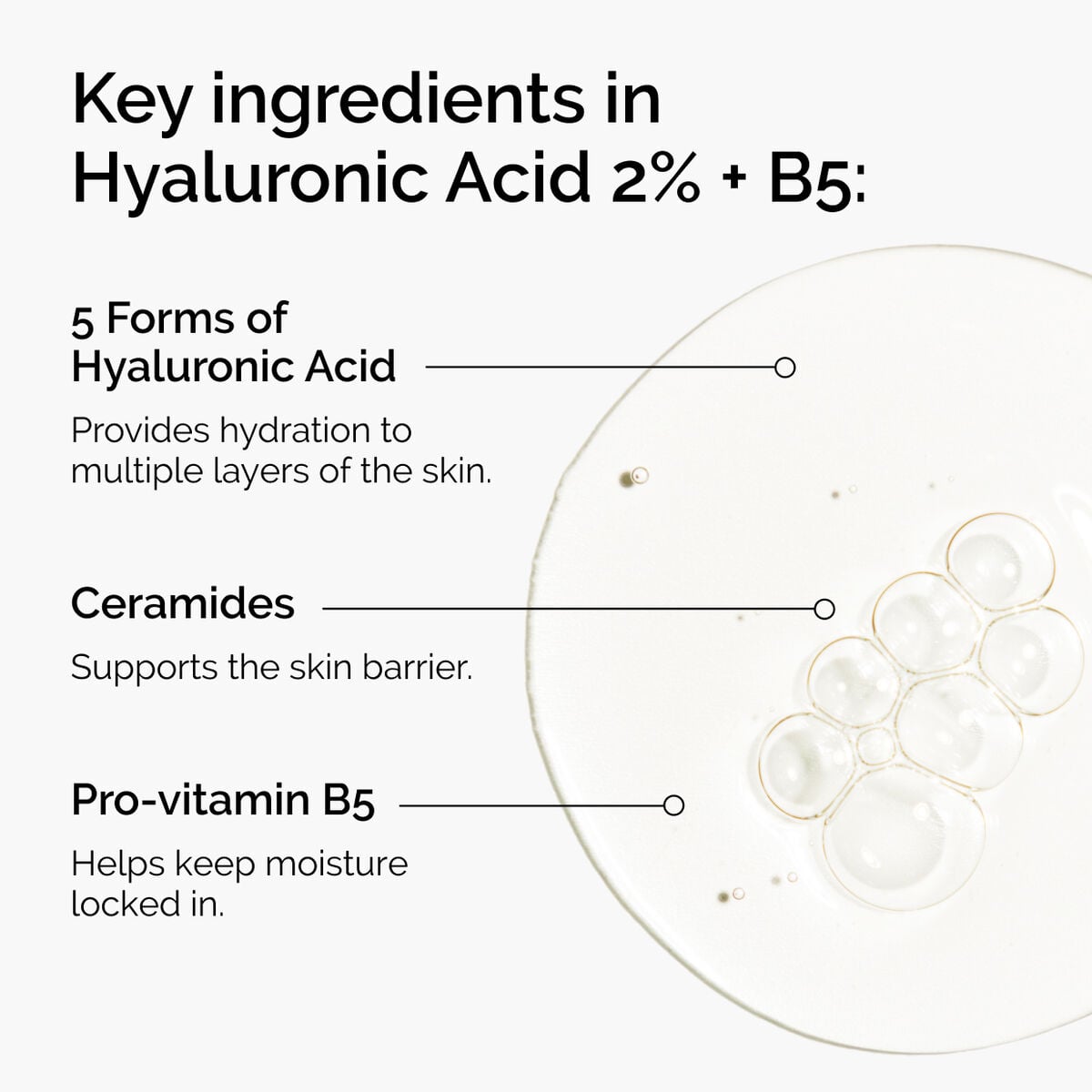 hyaluronic-acid-2-b5-with-ceramides-v0 ord-hyaluronic-acid-2pct-b5-hydrating-serum-ingredients-graphic.jpg