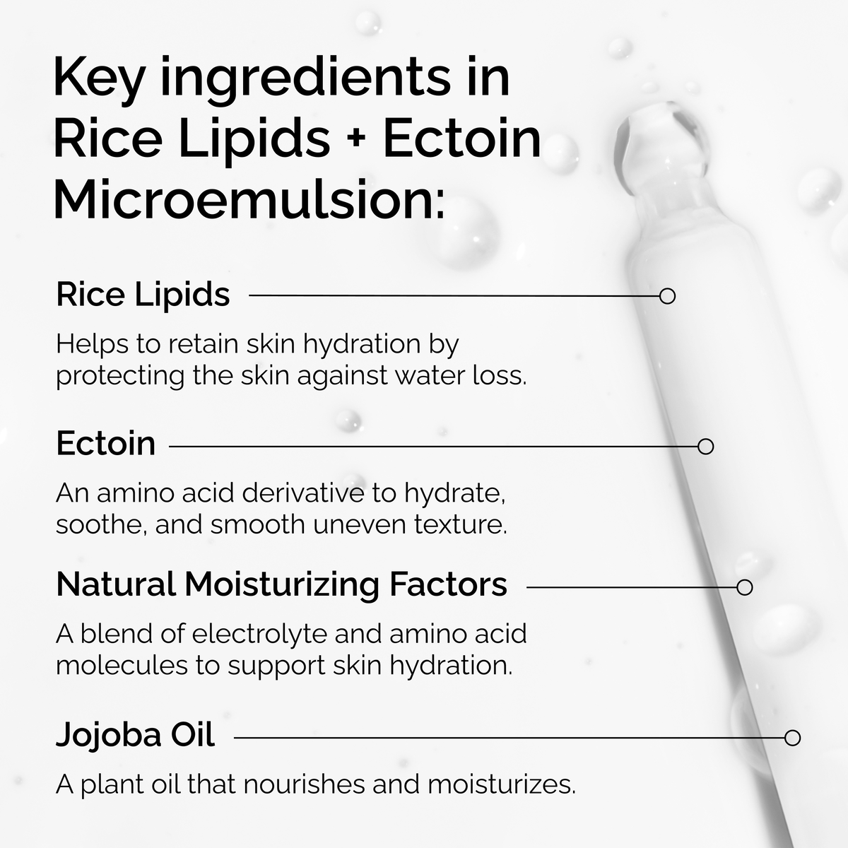 rice-lipids-ectoin-microemulsion-q3 ord-rice-lipids-ectoin-microemulsion-key-ingredients.png