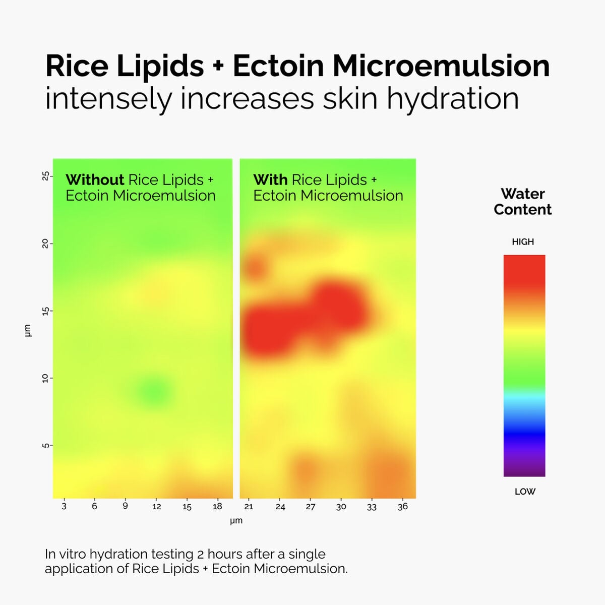 rice-lipids-ectoin-microemulsion-q3 ord-rice-lipids-ectoin-microemulsion-thermal-before-after.jpg